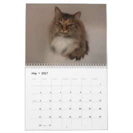 Katzenkalender Kalender