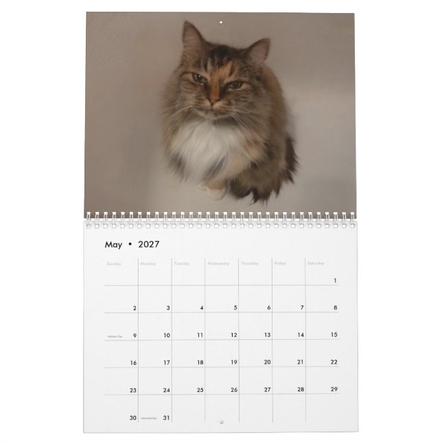 Katzenkalender Kalender (Mai 2027)