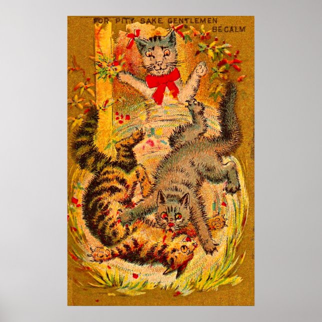 Katzenkampf Poster (Vorne)