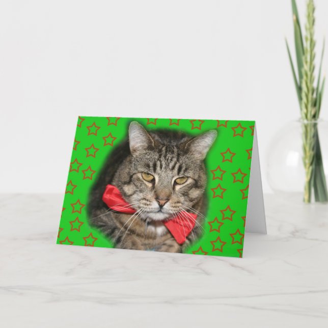 Katzenkarte Karte (Vorderseite)