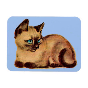 Katzenkätzchen Magnet