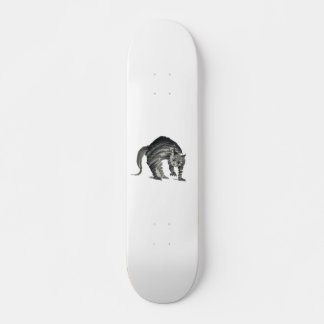 Katzenkatze abstrakt skateboard