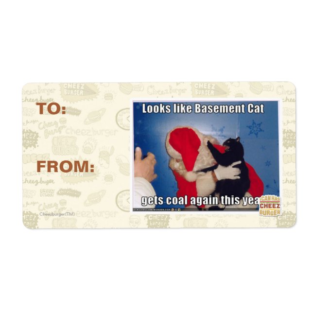 Katzenkatze erhält Kohle (Vorne)