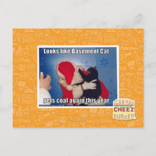 Katzenkatze erhält Kohle Postkarte