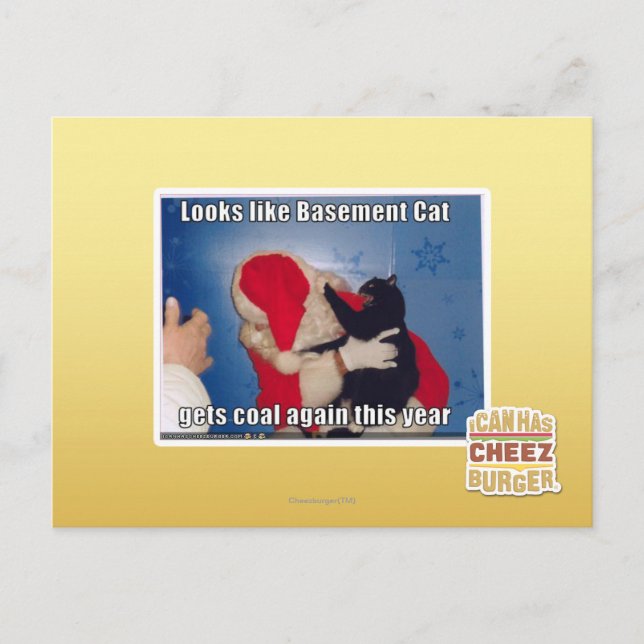 Katzenkatze erhält Kohle Postkarte (Vorderseite)