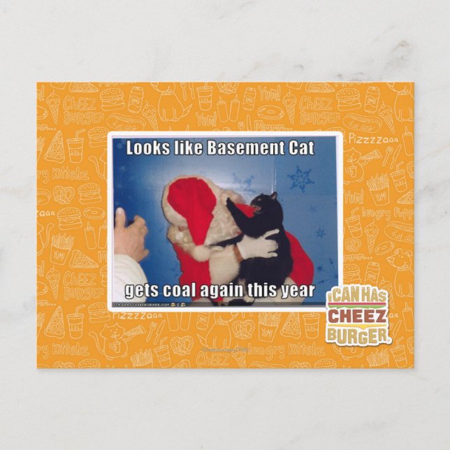 Katzenkatze erhält Kohle Postkarte (Vorderseite)