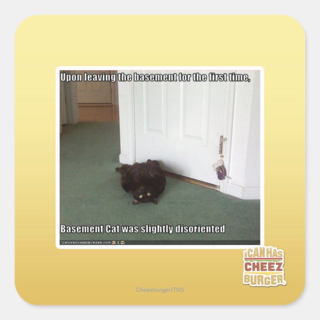 Katzenkatze, leicht desorientiert quadratischer aufkleber (Vorderseite)