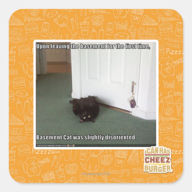 Katzenkatze, leicht desorientiert quadratischer aufkleber (Vorderseite)