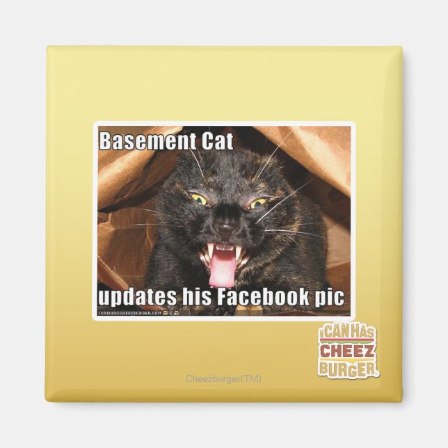 Katzenkatze Magnet (Vorne)