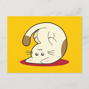 Katzenkatze Postkarte