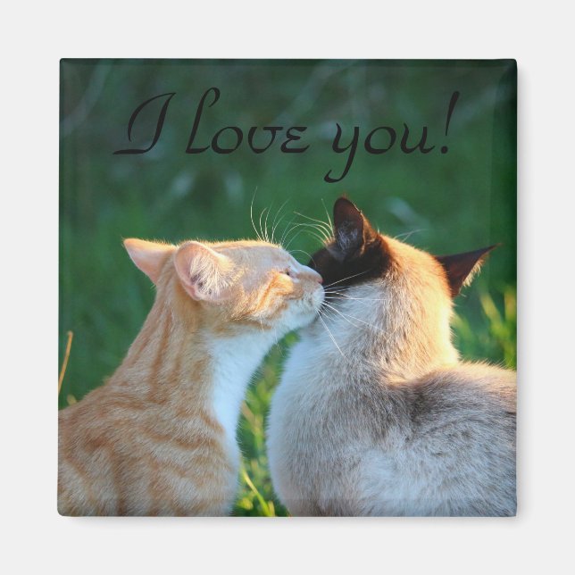 Katzenkatzenliebhaber Magnet (Vorne)