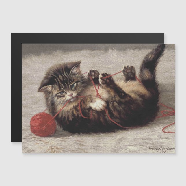 Katzenklatsche, eine Katze, die Galle aus dem Garn Magnetkarte (Vorne/Hinten)