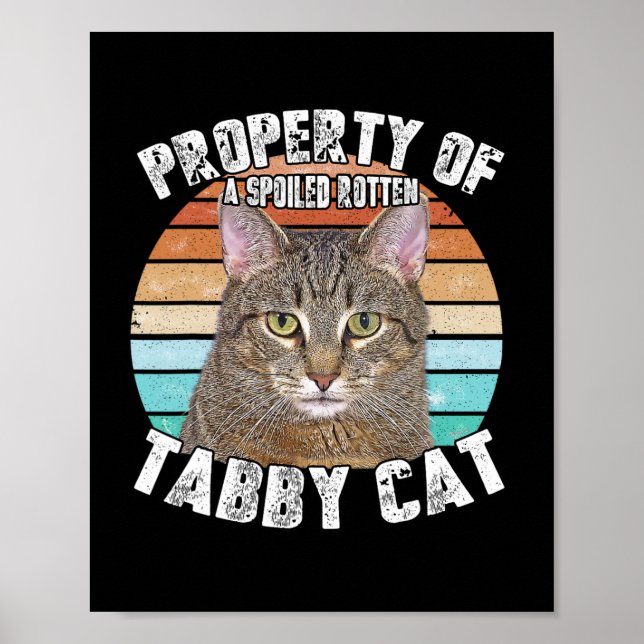 Katzenklatsche Funny Cat Lover Geschenke für Männe Poster (Vorne)