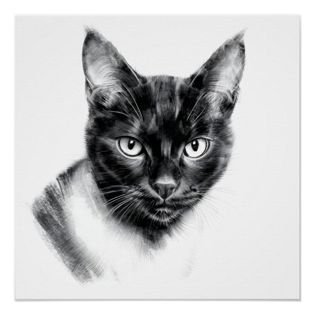 Katzenkohle Poster (Vorderseite)