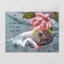 Katzenkomfort-Schrift, Postkarte