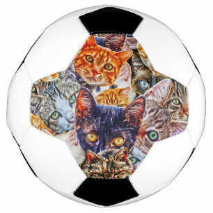 Katzenkunstmuster Fußball