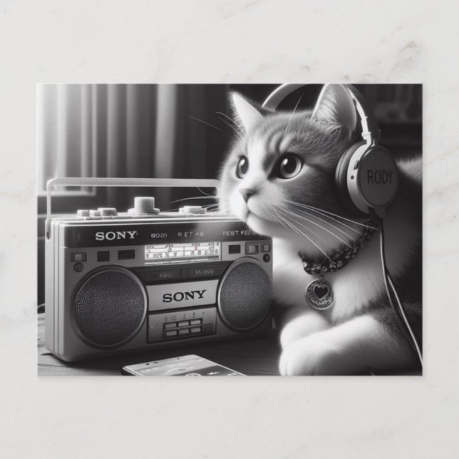 Katzenledermusik Postkarte (Vorderseite)