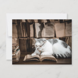 Katzenlesen in Brille Postüberqueren Postkarte
