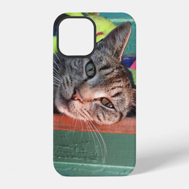 Katzenliebe  iPhone hülle (Rückseite)