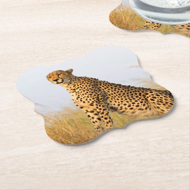 Katzenliebhaber Gepard Foto Untersetzer (angewinkelt)