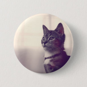 Katzenliebhaber Geschenke, Katzenpinsel Button
