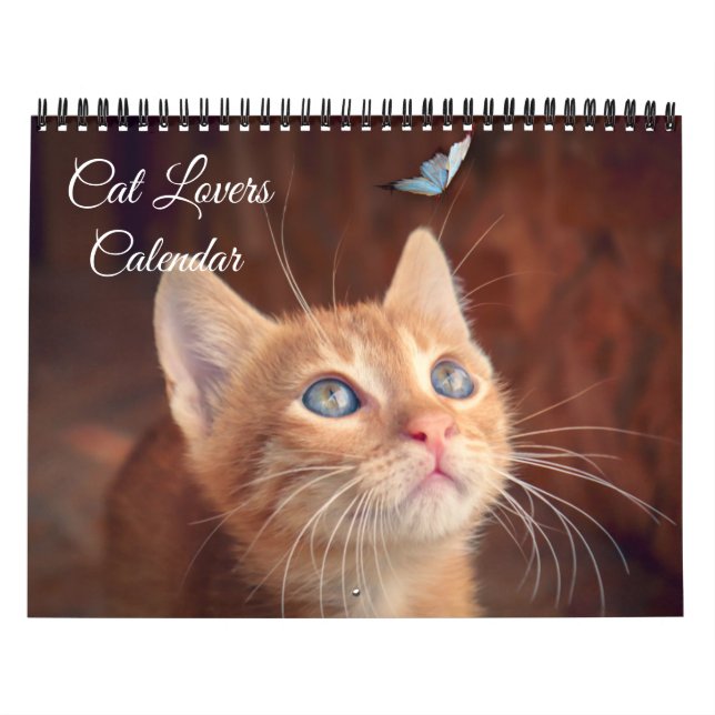 Katzenliebhaber-Kalender Kalender (Titelbild)