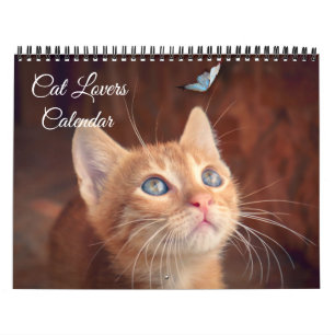 Katzenliebhaber-Kalender Kalender