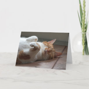 Katzenliebhaber Karte