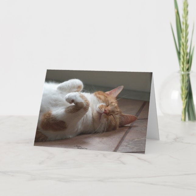 Katzenliebhaber Karte (Vorderseite)