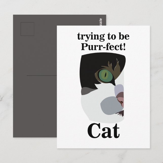 Katzenliebhaber Lustig Postkarte (Vorne/Hinten)