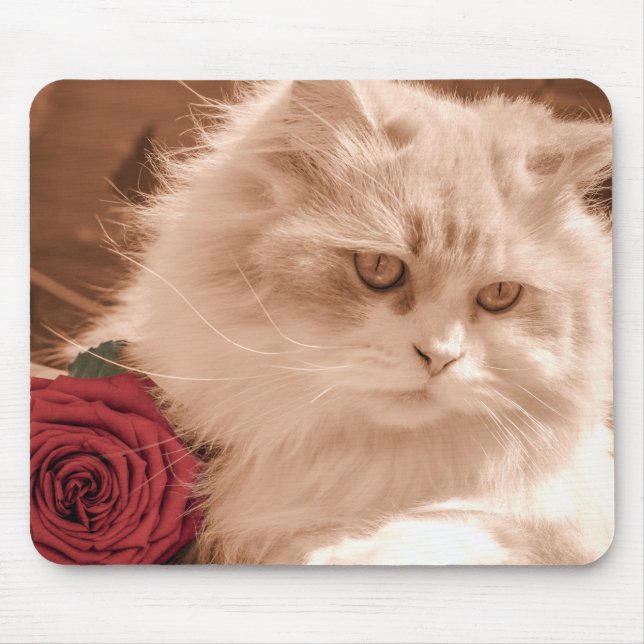 Katzenliebhaber Mousepad (Vorne)
