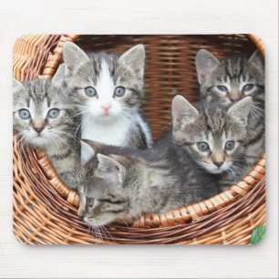 Katzenliebhaber Mousepad