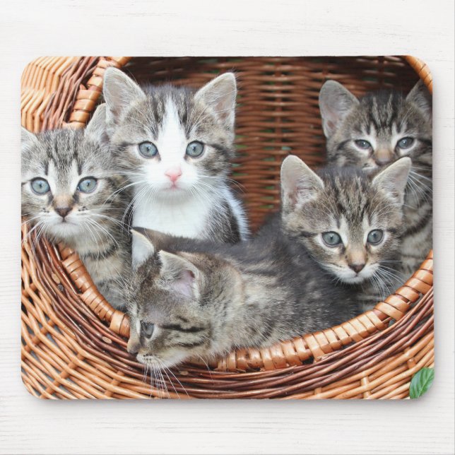 Katzenliebhaber Mousepad (Vorne)