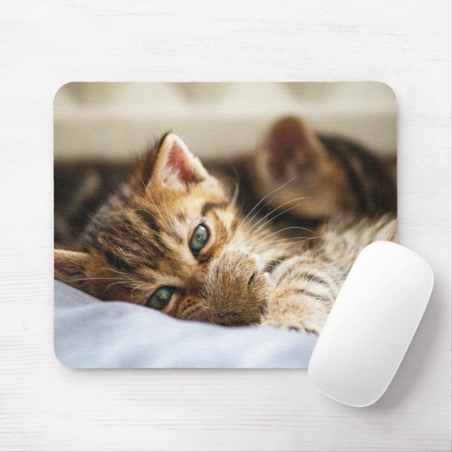 Katzenliebhaber Mousepad (Mit Mouse)
