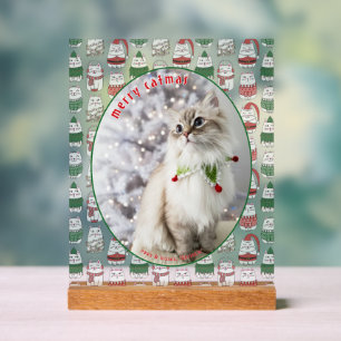 Katzenliebhaber Süße Festliche Katzenfoto Weihnach Acrylschild
