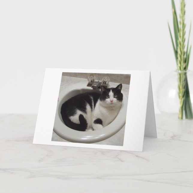 Katzenliebhaberfreude Karte (Vorderseite)