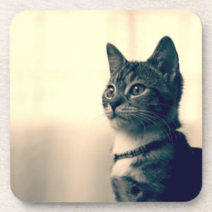 Katzenliebhabergeschenke, themed Geschenke der Untersetzer