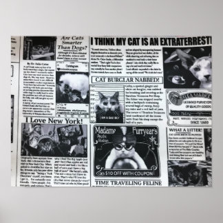 Katzenmagazin Poster