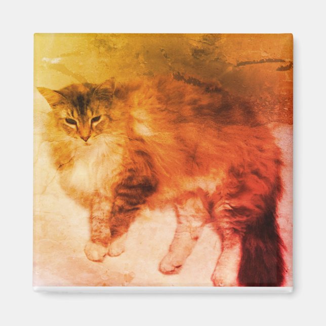 Katzenmagnet Magnet (Vorne)