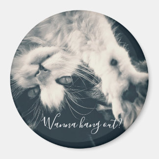 Katzenmagnet - woll zum Aushängen? Magnet