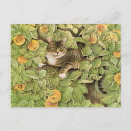 Katzenmaler Postkarten
