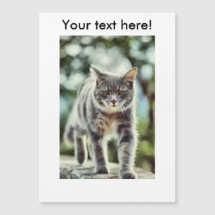 Katzenmalerei Magnetkarte