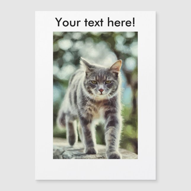 Katzenmalerei Magnetkarte (Vorderseite)