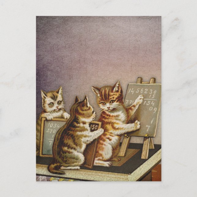 Katzenmathematik Postkarte (Vorderseite)