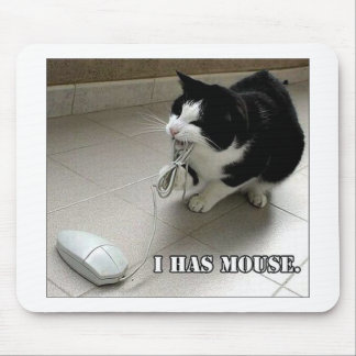 KatzenMausunterlage Mousepad