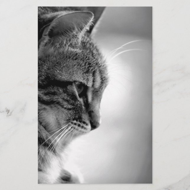 Katzenmeditation Schwarz/Weiß Briefpapier (Vorderseite)