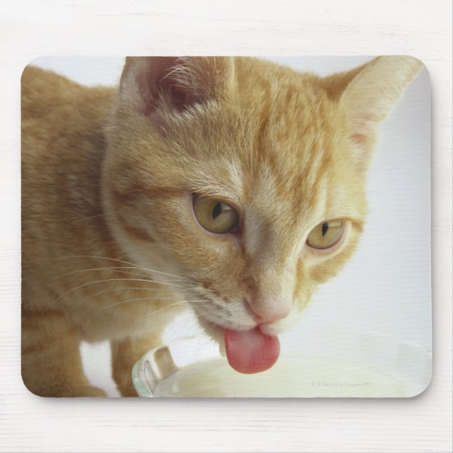 Katzenmilch Mousepad (Vorne)