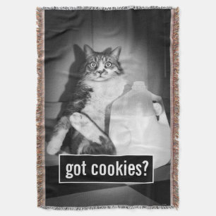 Katzenmilch von Jug Decke