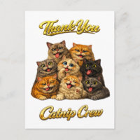 Katzenminze-Crew Niedliche Alberne Tolle Katzen-Ge