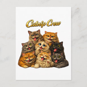 Katzenminze Crew Niedliche Alberne Tolle Katzen Ge Postkarte